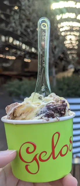 Geloso Gelateria