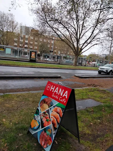 Hana Sushi Cafe