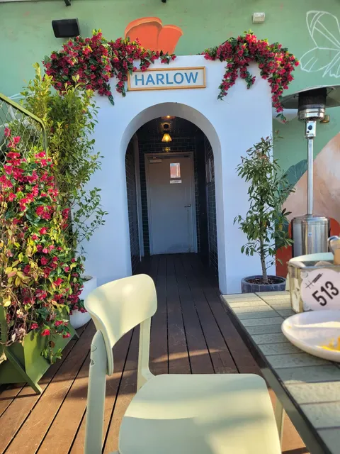 Harlow