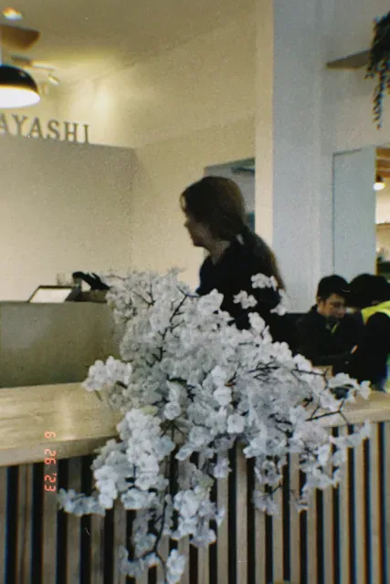 Hayashi291 Japanese Restaurant