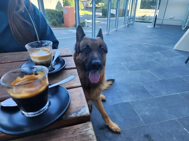 javaScript Cafe