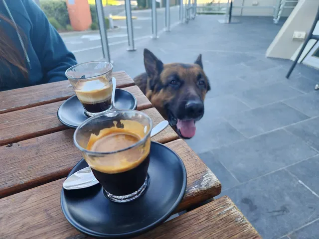 javaScript Cafe