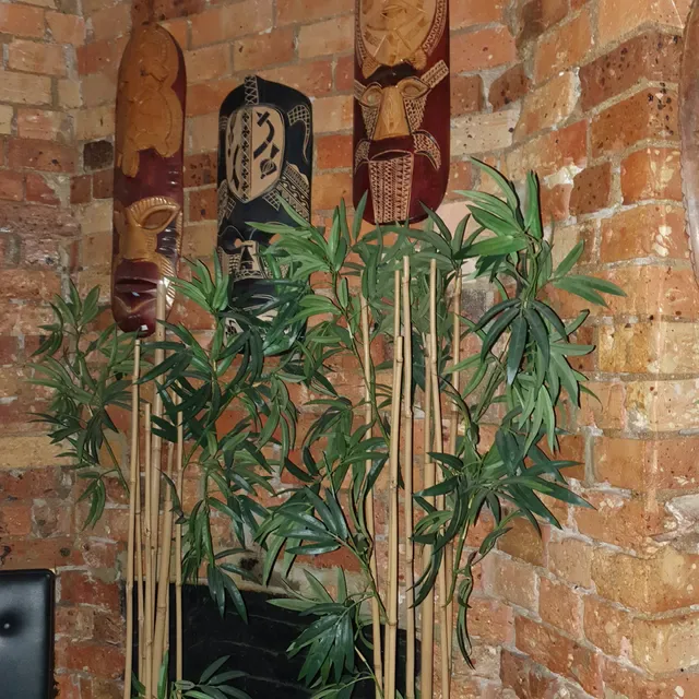 Jungle Boy