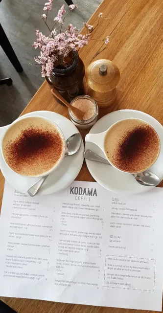 Kodama Coffee