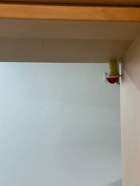 Kudo