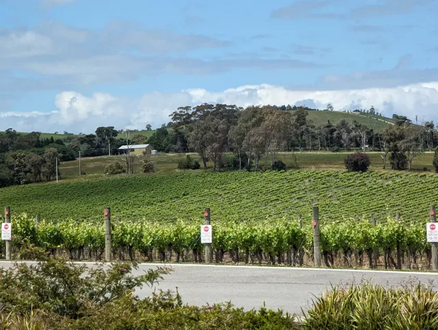 Levantine Hill Estate