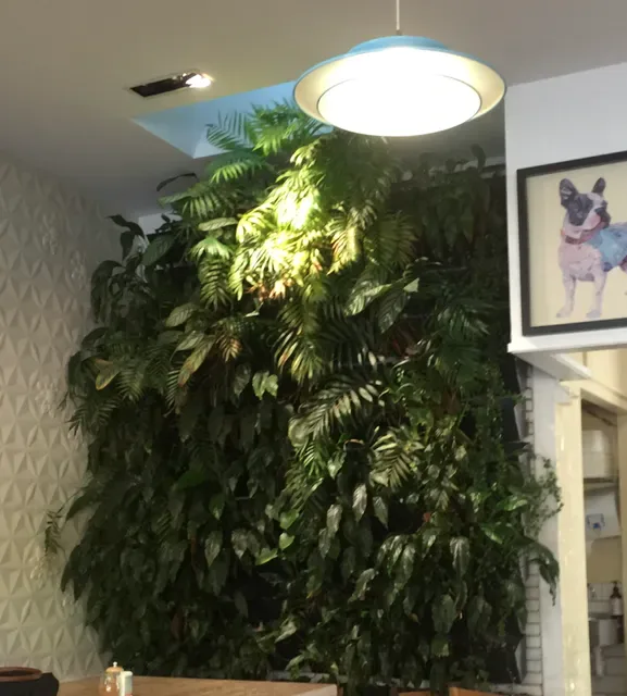 Little Sunflower Café