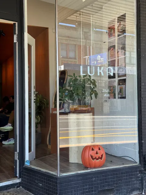 Luka Carnegie
