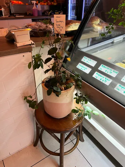 Manu's cafe and restaurant
