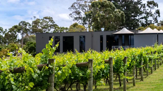 Many Hands Winery