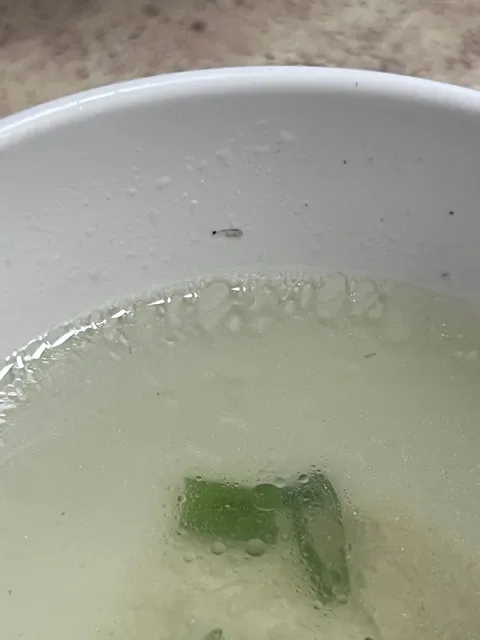 Meetbowl