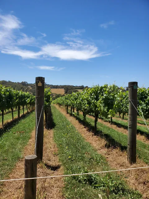 Montalto