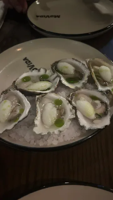 MoVida Aqui