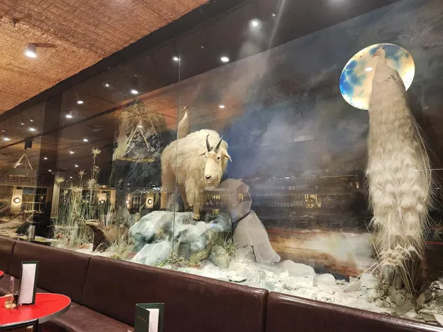 Natural History Bar & Grill