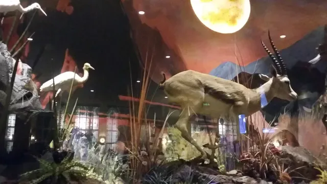 Natural History Bar & Grill
