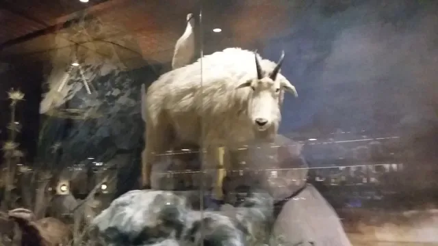 Natural History Bar & Grill