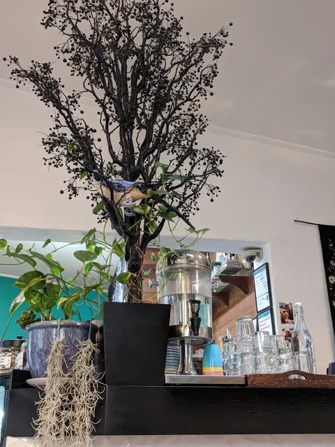 nature cafe bar