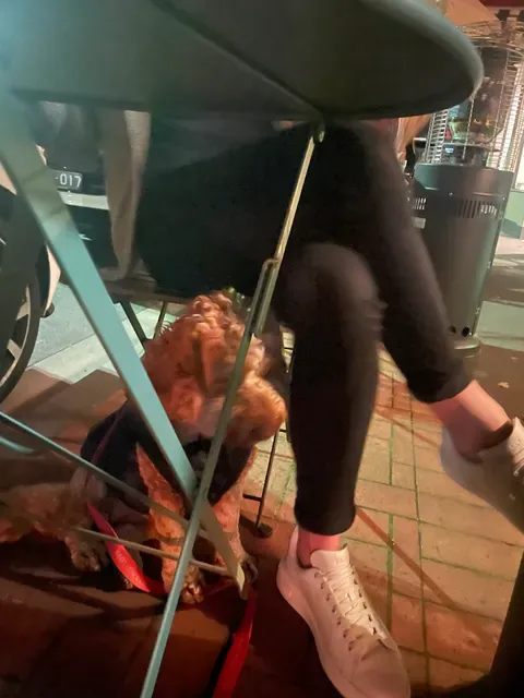 Neighbourhood Pizza