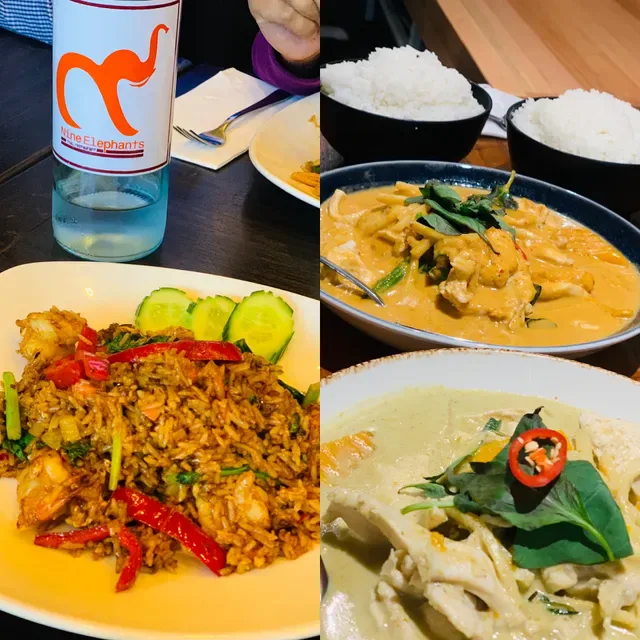 Nine Elephants Thai Restaurant