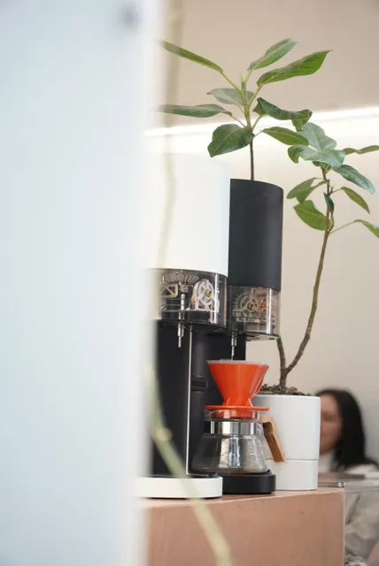 OKO Cafe