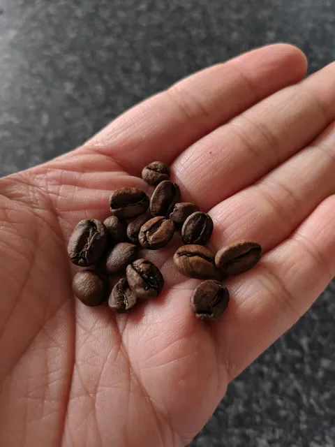 Padre Coffee South Melbourne