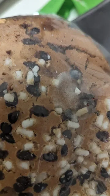 PEP Artisan Bakers