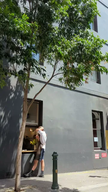 Patricia Coffee Brewers