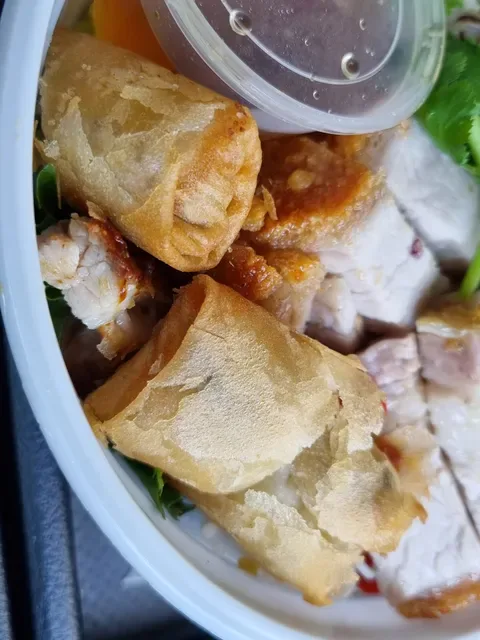 Pho Rolls 62