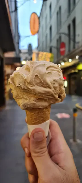 Pidapipó Carlton