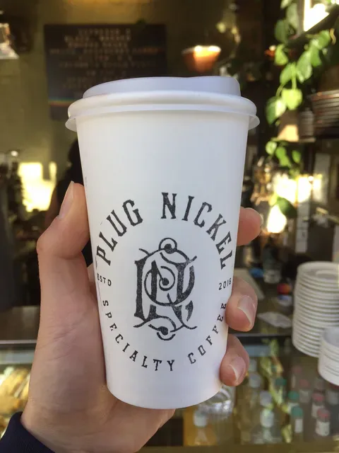 Plug Nickel