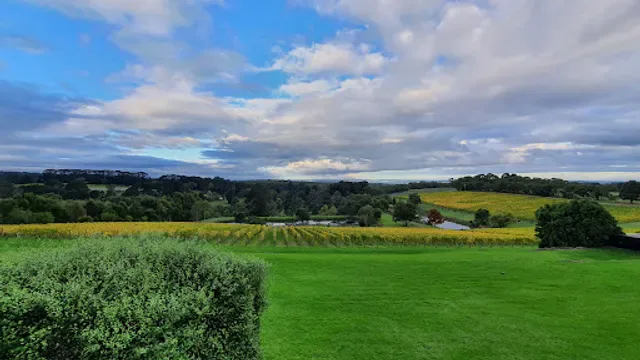 Port Phillip Estate and Kooyong Wines