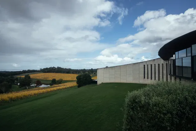 Port Phillip Estate and Kooyong Wines