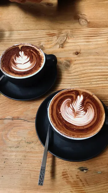 Red Bean Coffee Roaster