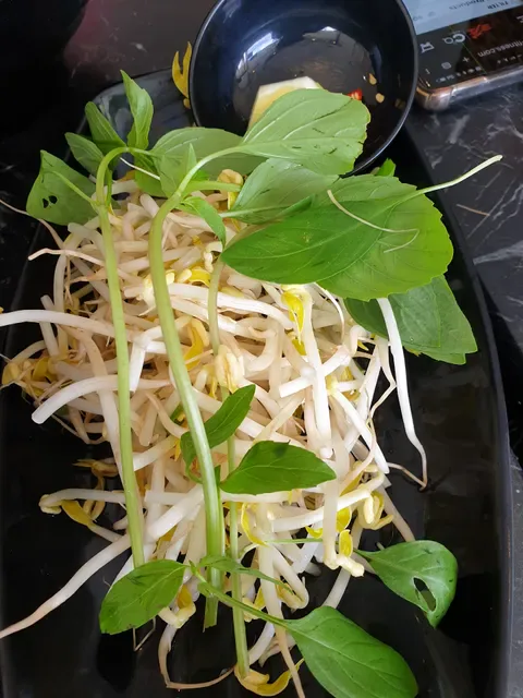 Saigon Sisters Vietnamese Cuisine