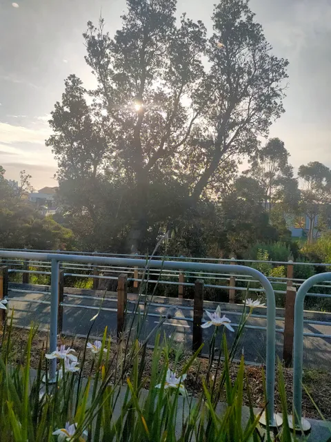 Seaford RSL