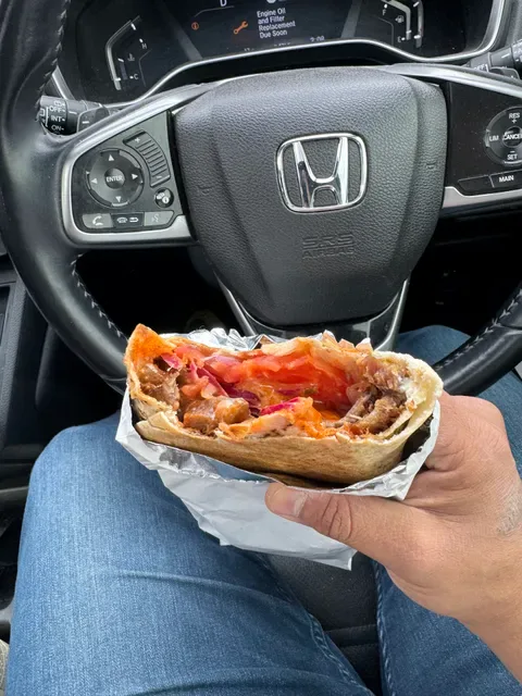 Souvlaki and Kebab House