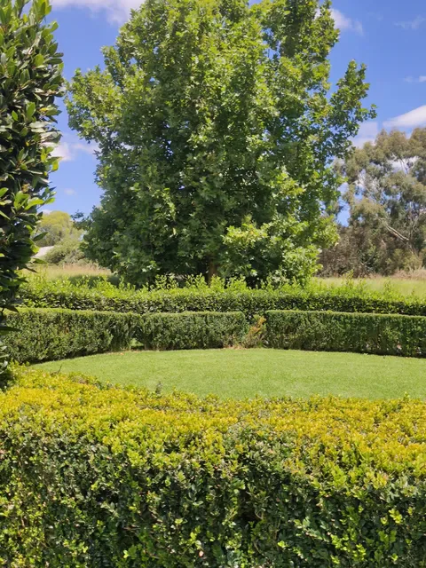 Stones of the Yarra Valley