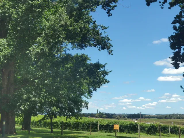 Stones of the Yarra Valley