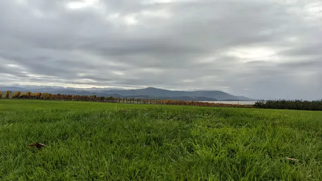 Stones of the Yarra Valley
