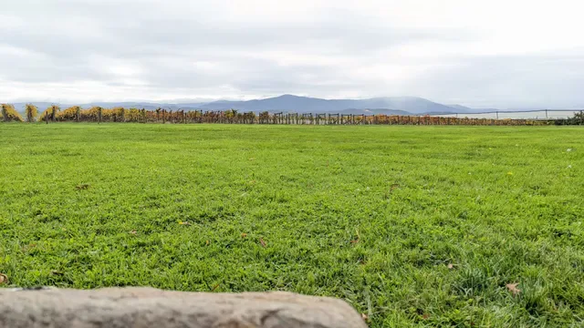 Stones of the Yarra Valley