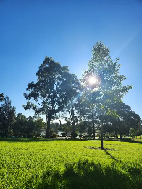 Sycamore Meadows Melbourne
