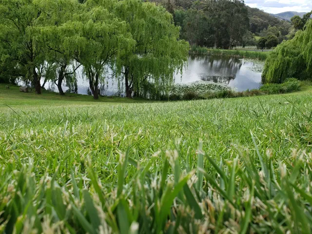 TarraWarra Yarra Valley Winery, Restaurant & Cellar Door