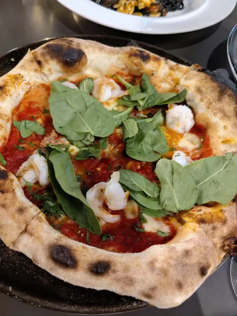 Tazio