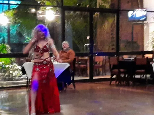 The Aegean Greek Restaurant
