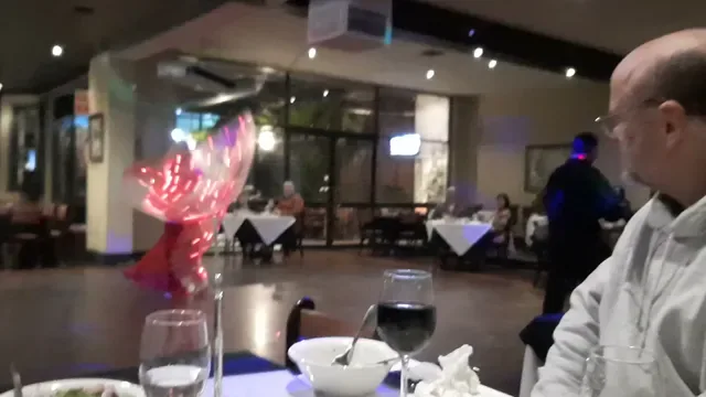 The Aegean Greek Restaurant