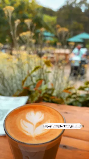 The Farm Cafe