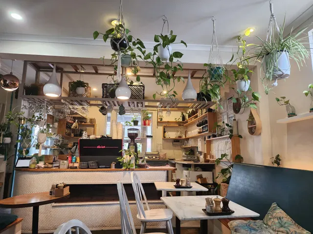 The Peacock South Yarra
