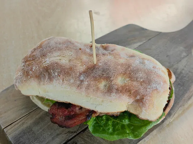 The Spotted Owl