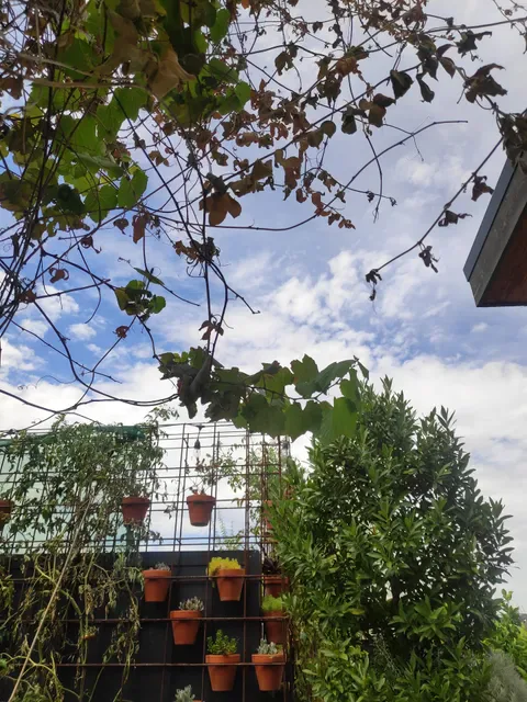 The Suburban Rooftop & Dining