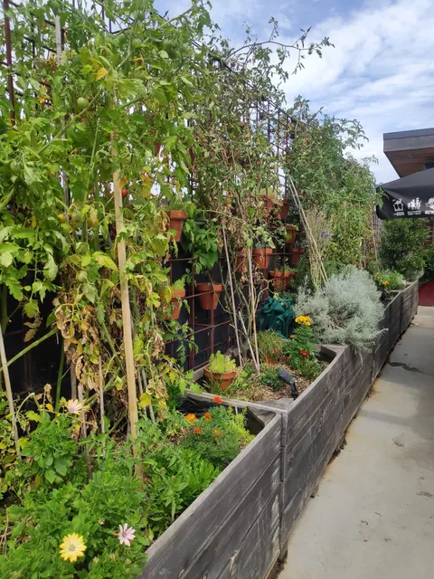 The Suburban Rooftop & Dining